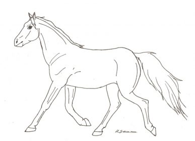 Cartoon Horse Drawing Realistic Drawing Skill