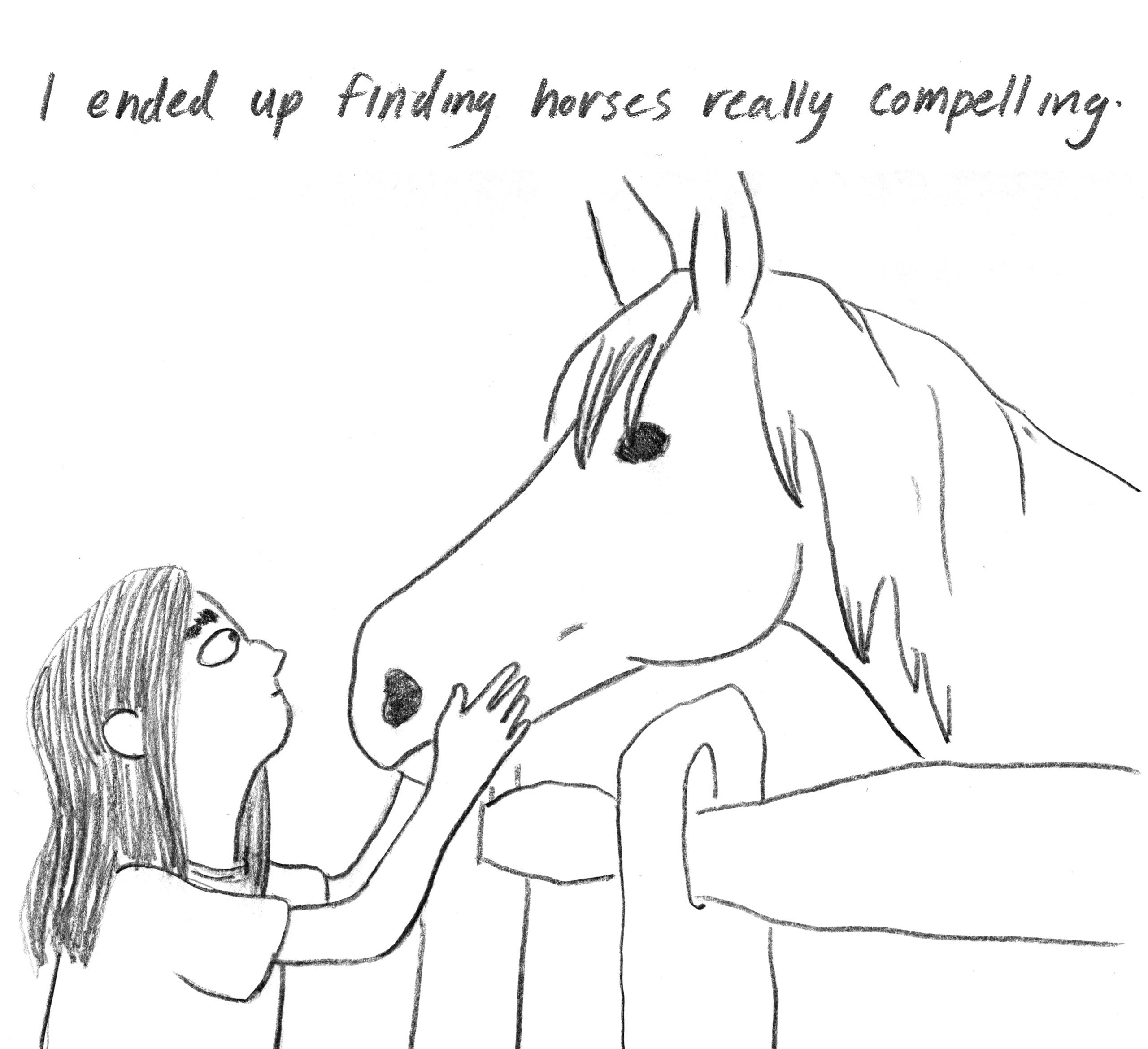 Cartoon Horses Best Drawing