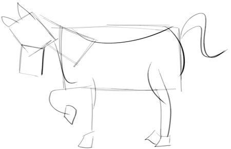 Cartoon Horses Drawing Beautiful Art