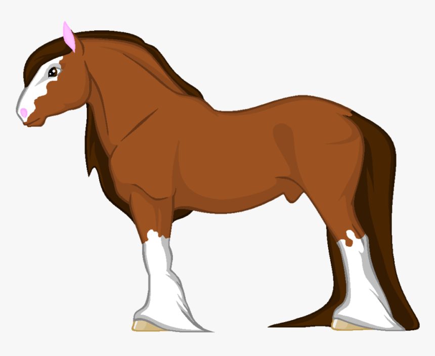 Cartoon Horses Drawing Image