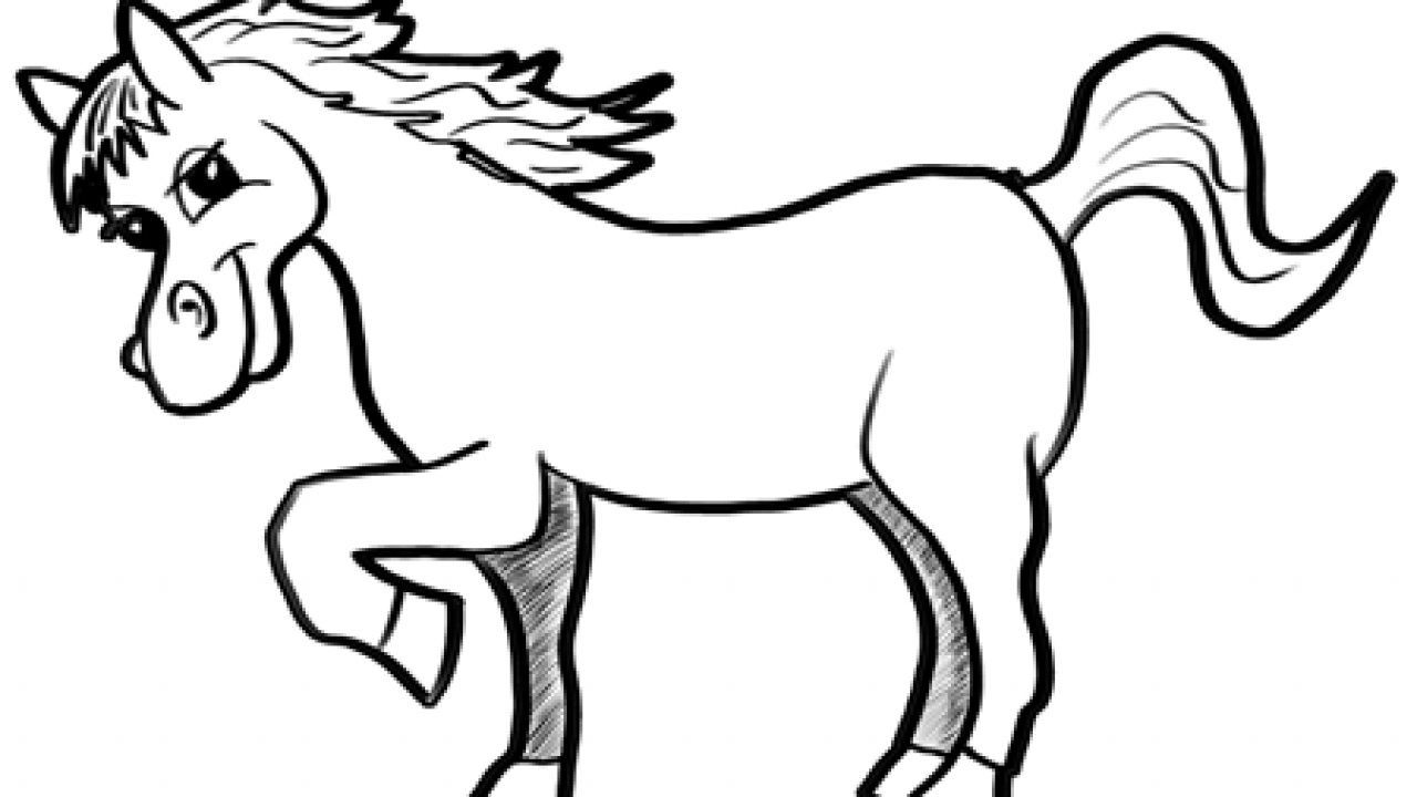 Cartoon Horses Drawing Images