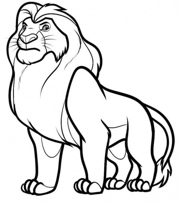 Cartoon Lion Drawing Beautiful Image