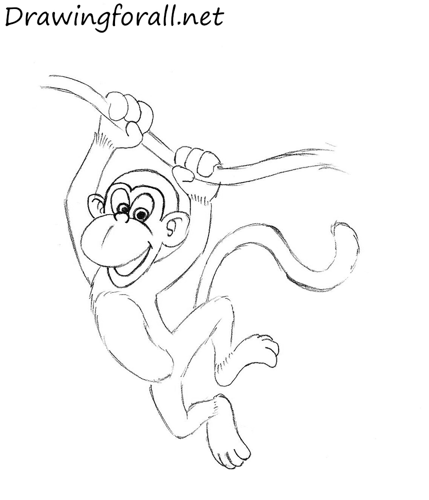 Cartoon Monkey Art Drawing