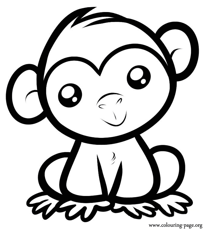 Cartoon Monkey Drawing Photo