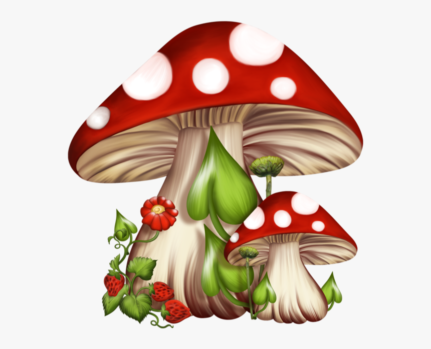 Cartoon Mushroom Drawing Image