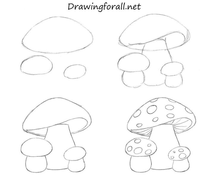 Cartoon Mushroom Drawing Photo