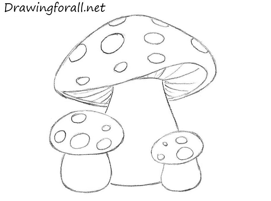 Cartoon Mushroom Drawing