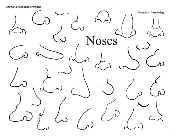 Cartoon Nose Drawing Image