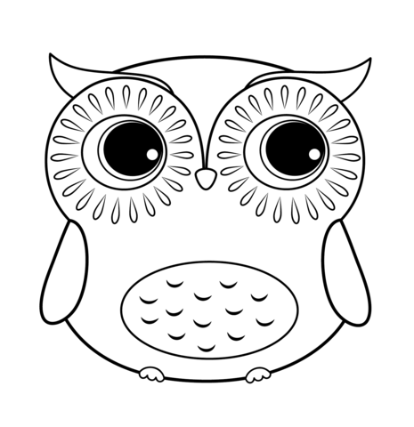 Cartoon Owl Drawing Image