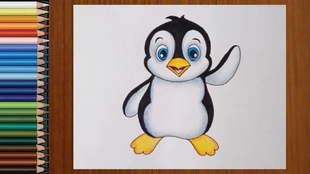 Cartoon Penguin Drawing Beautiful Image