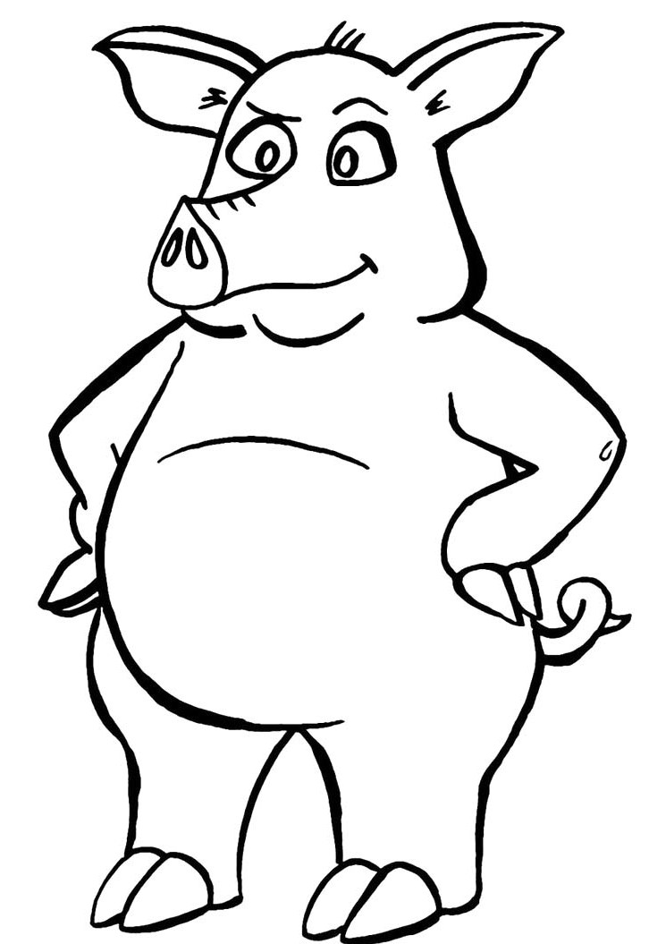 Cartoon Pig Drawing Photo