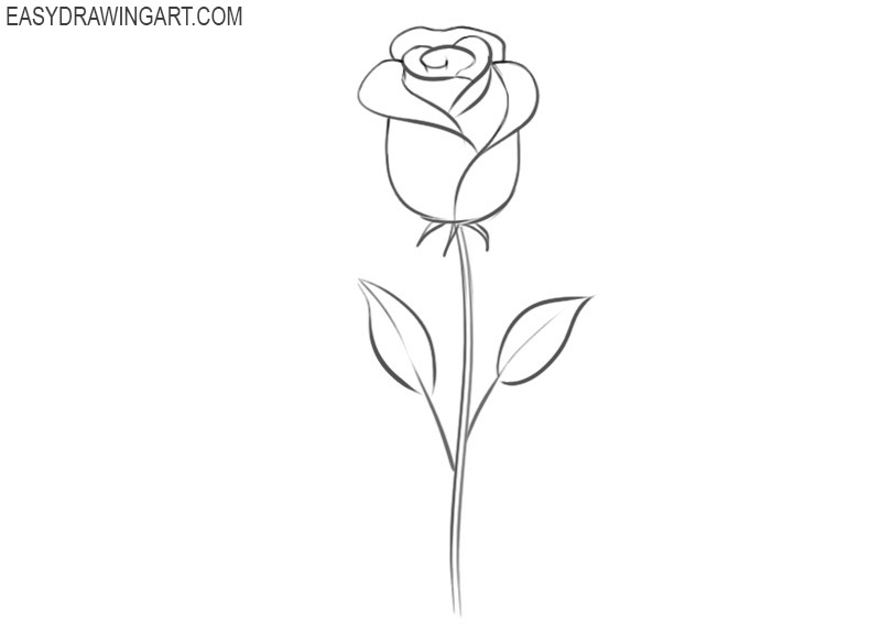 Cartoon Rose Drawing Sketch