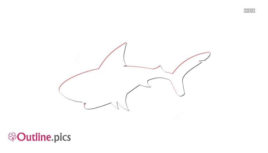 Cartoon Shark Drawing Art