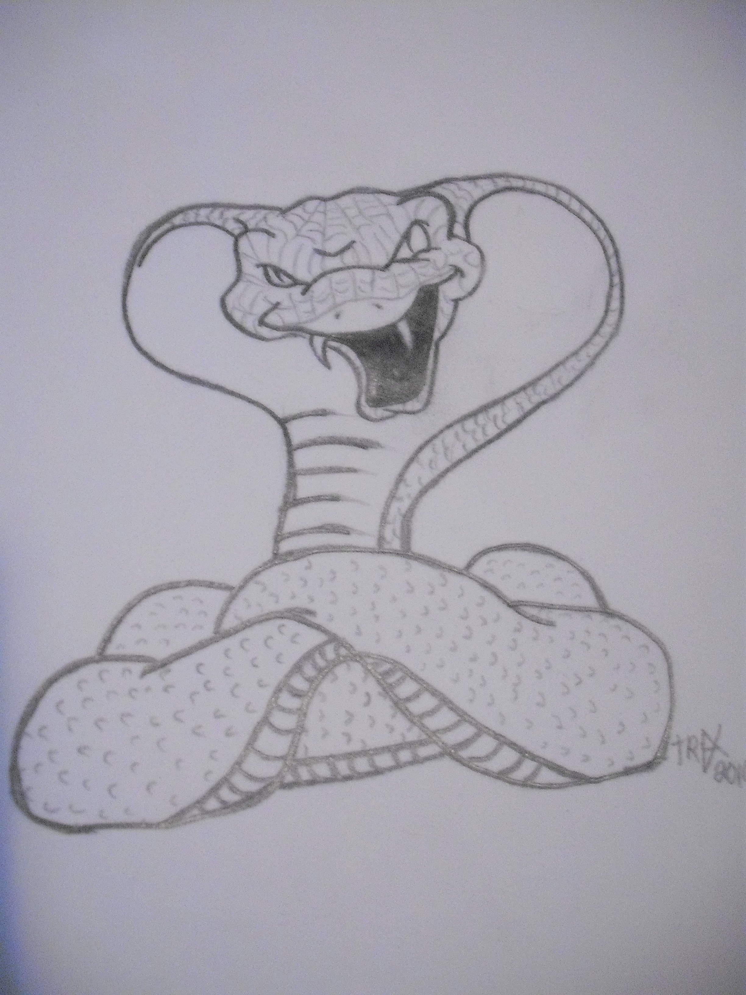 Cartoon Snake Drawing Pics