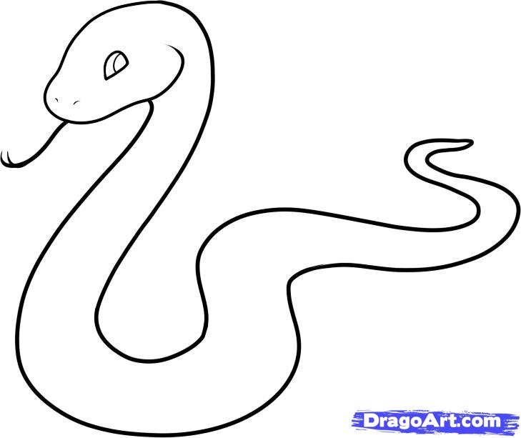 Cartoon Snake Drawing Picture