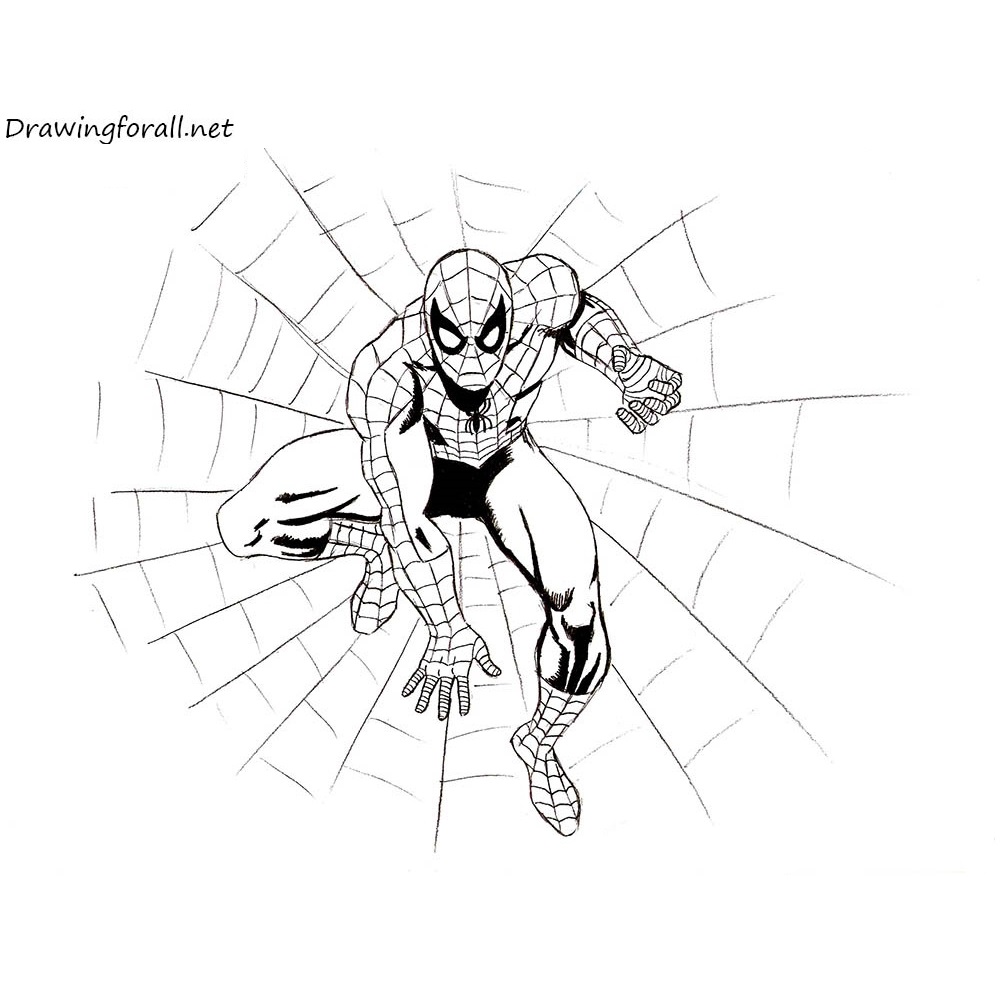 Cartoon Spiderman Drawing High-Quality