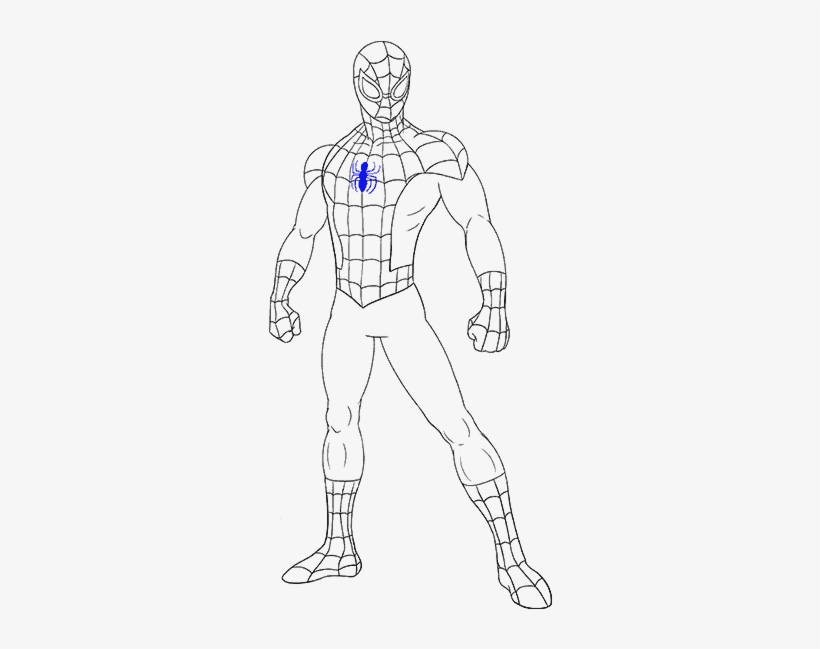 Cartoon Spiderman Drawing Photo