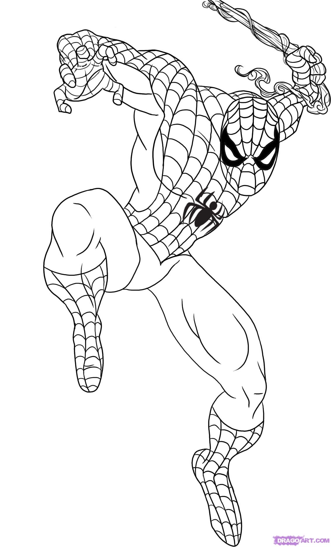 Cartoon Spiderman Drawing