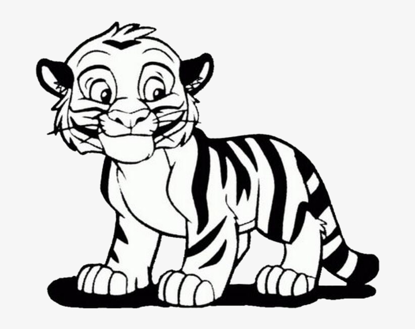 Cartoon Tiger Best Drawing