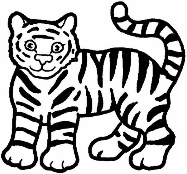 Cartoon Tiger Drawing Realistic