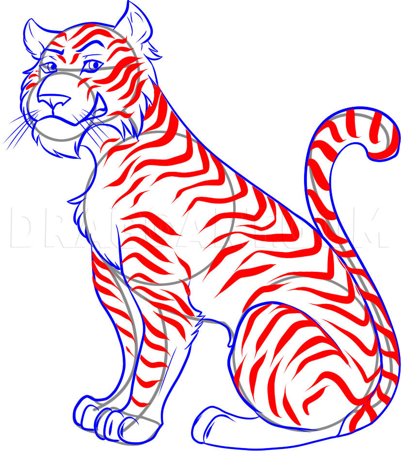 Cartoon Tiger Drawing Sketch