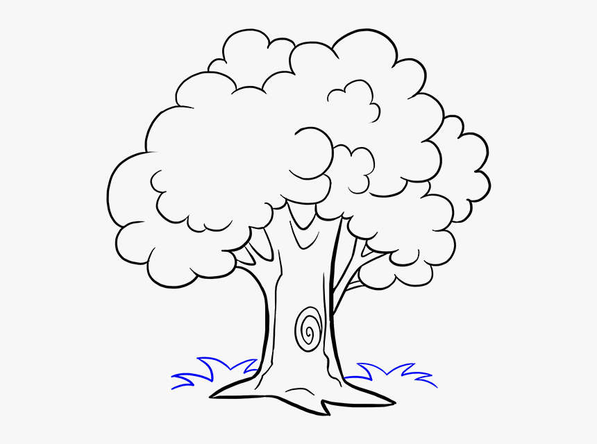 Cartoon Tree Drawing Photo