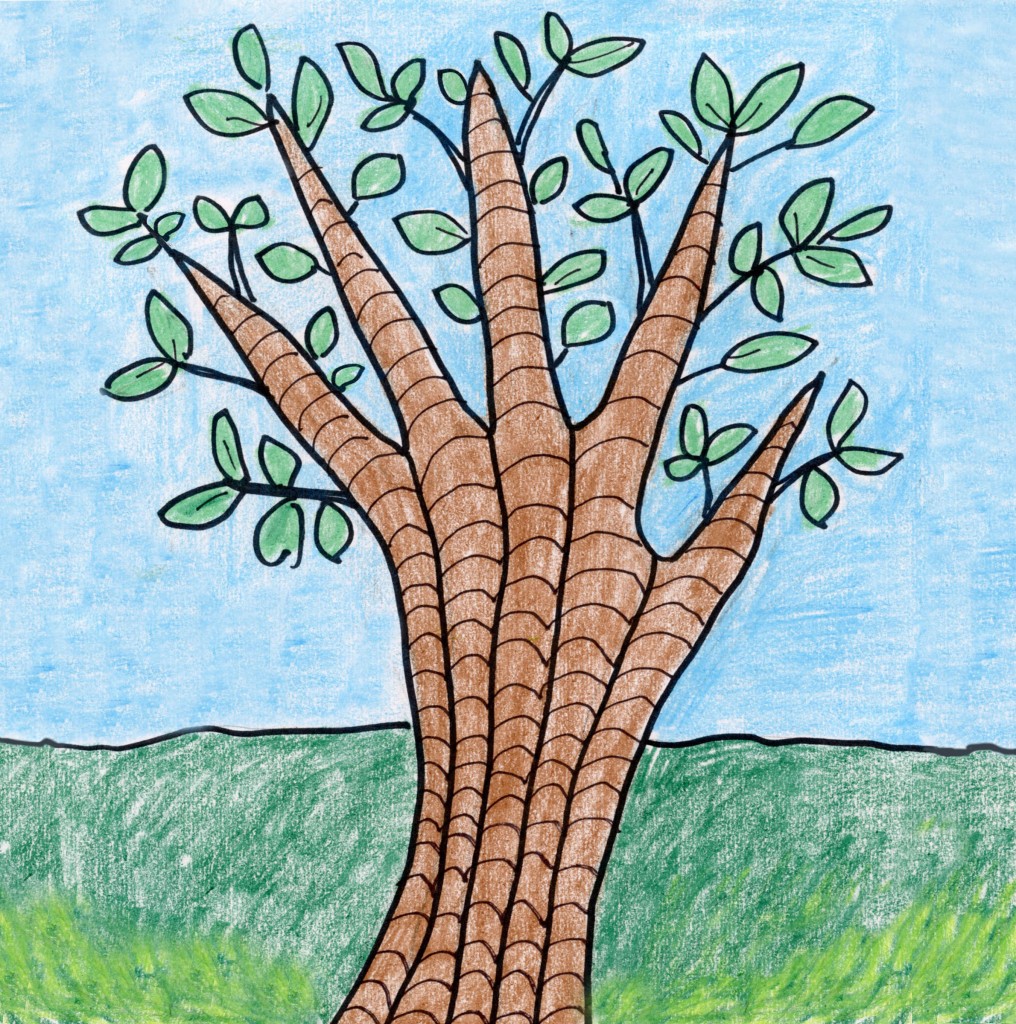 Cartoon Tree Drawing