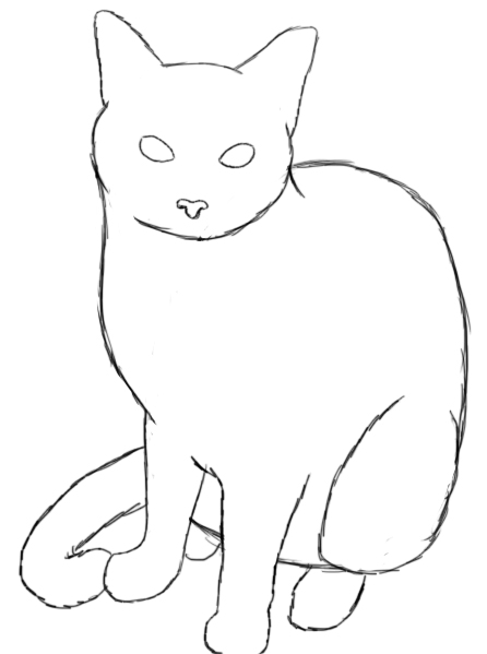 Cat Anatomy Drawing Art