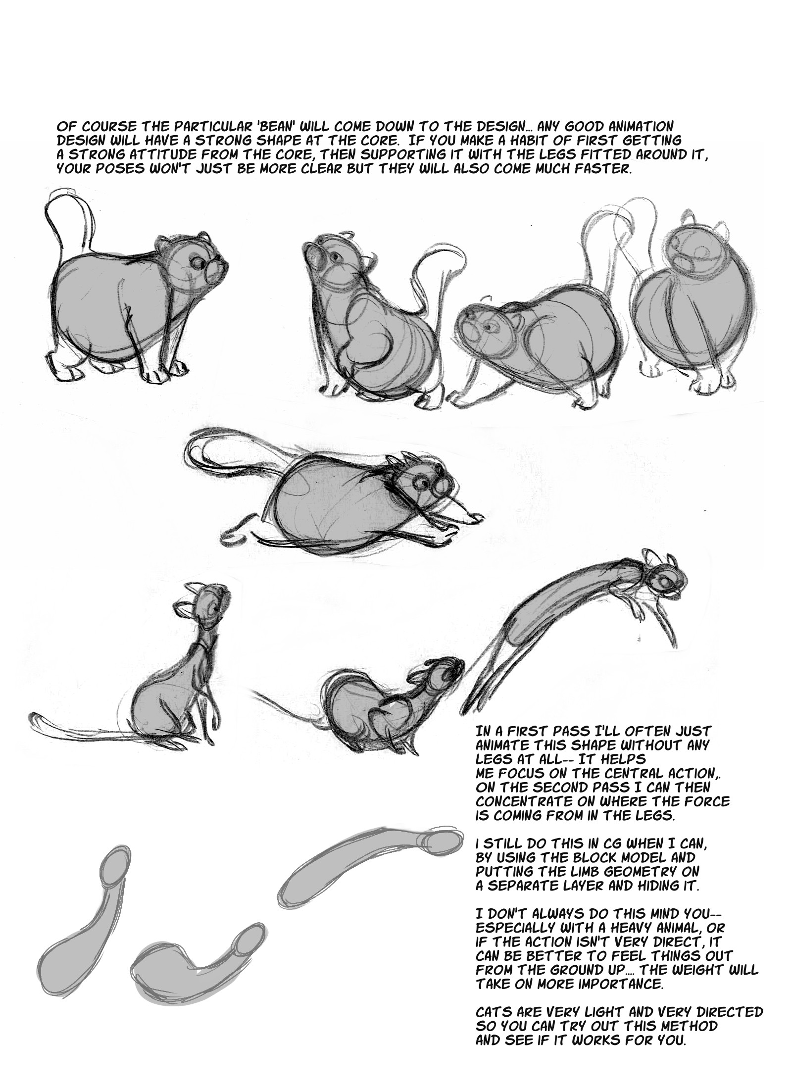 Cat Anatomy Drawing Images