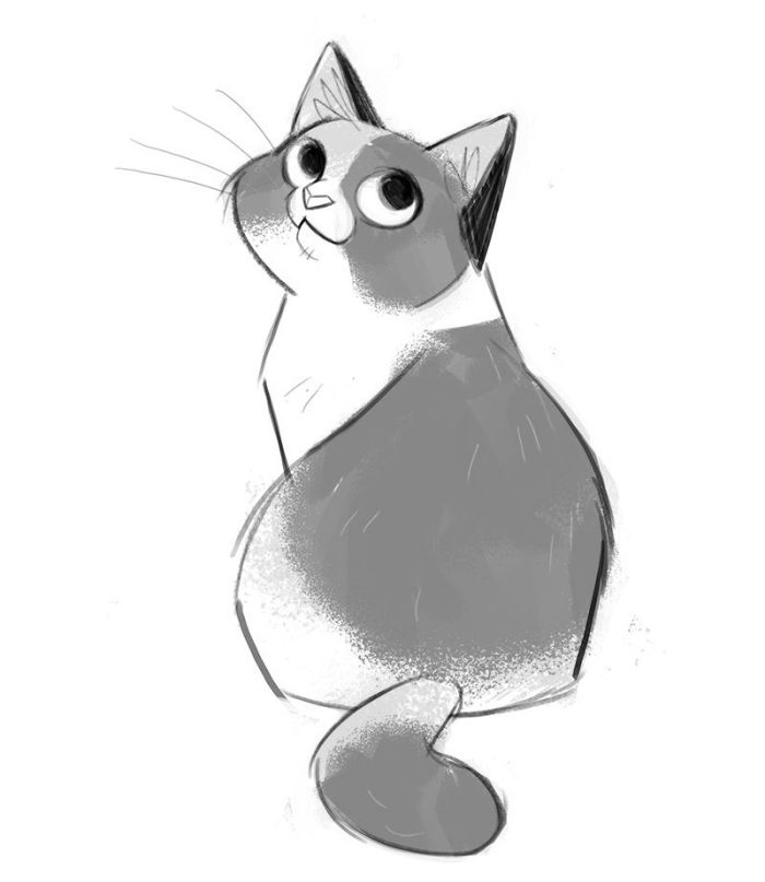 Cat Anime Drawing Art
