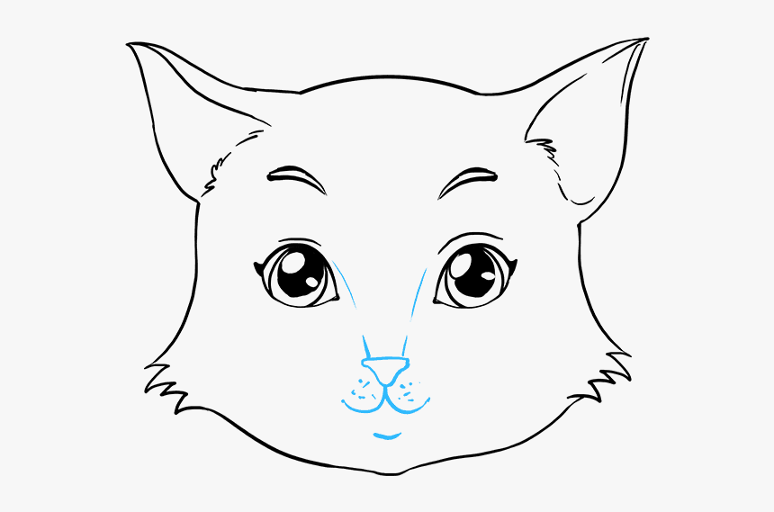 Cat Ear Best Drawing