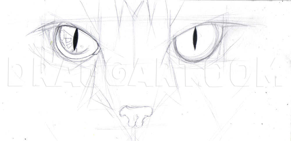 Cat Eye Drawing Image