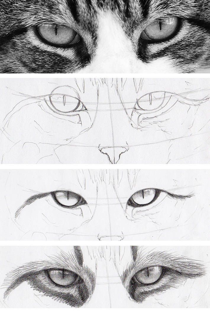Cat Eye Drawing Realistic