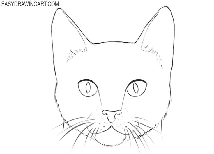 Cat Face Drawing Art