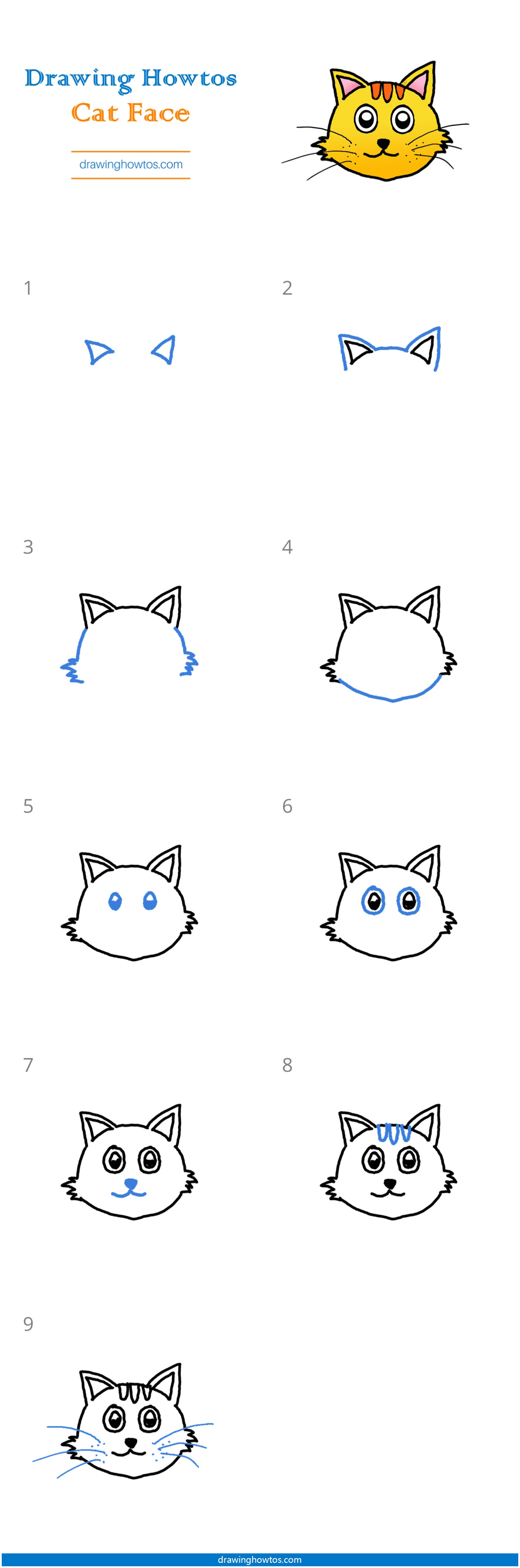 Cat Face Drawing Beautiful Art