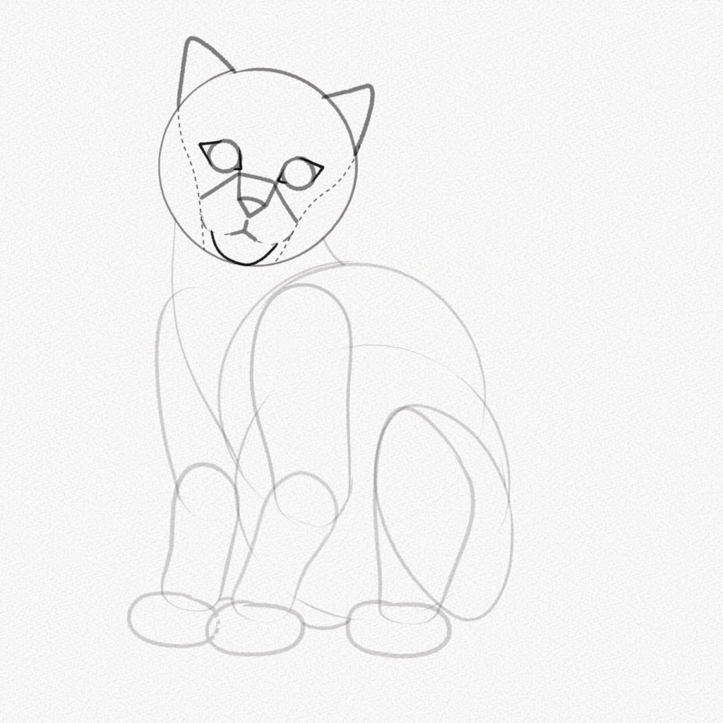 Cat Face Drawing Image