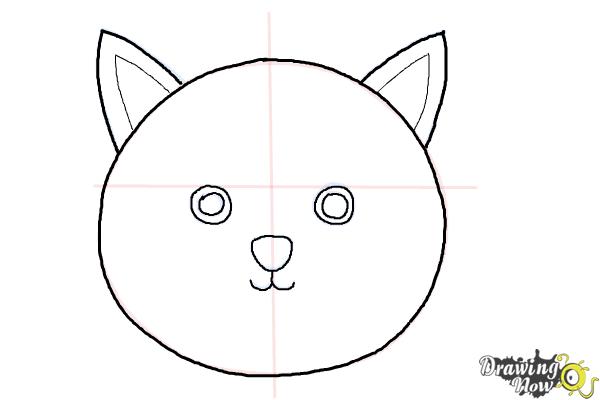 Cat Face Drawing Photo
