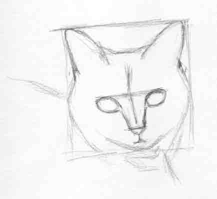 Cat Face Drawing Photos