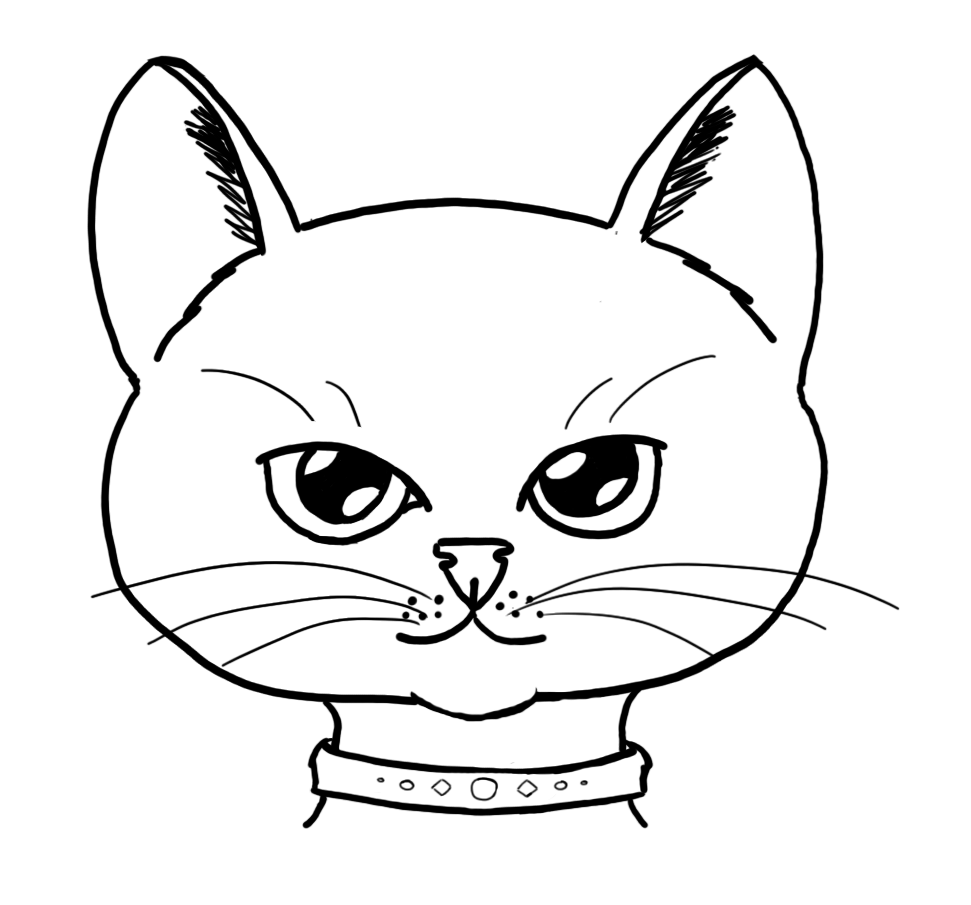 Cat Face Drawing Pics