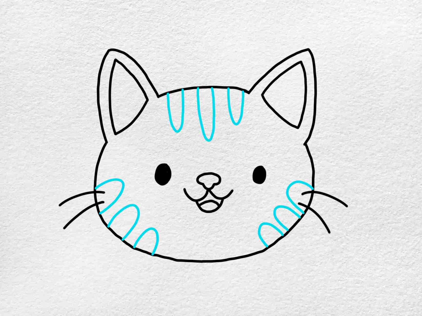 Cat Face Drawing Picture