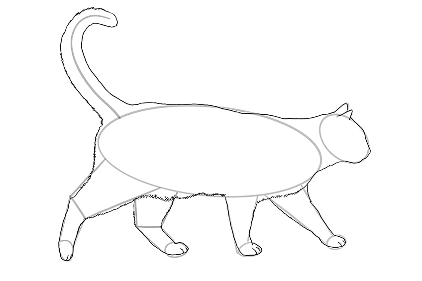 Cat Line Drawing Art