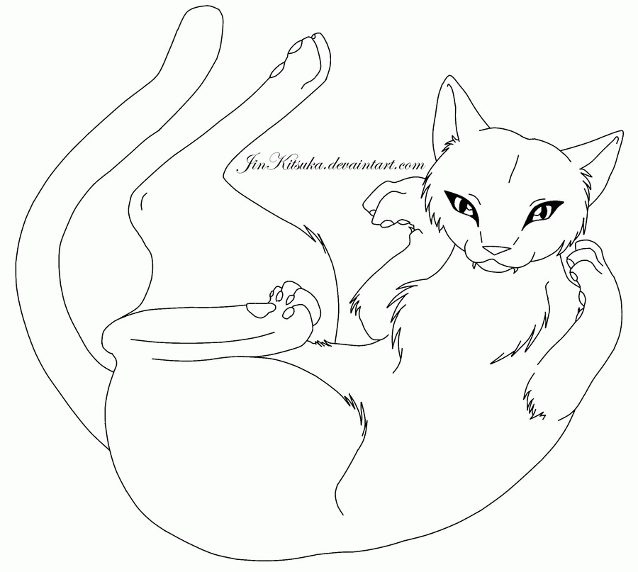 Cat Line Drawing Pics