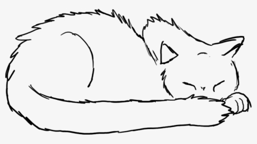 Cat Line Drawing Sketch