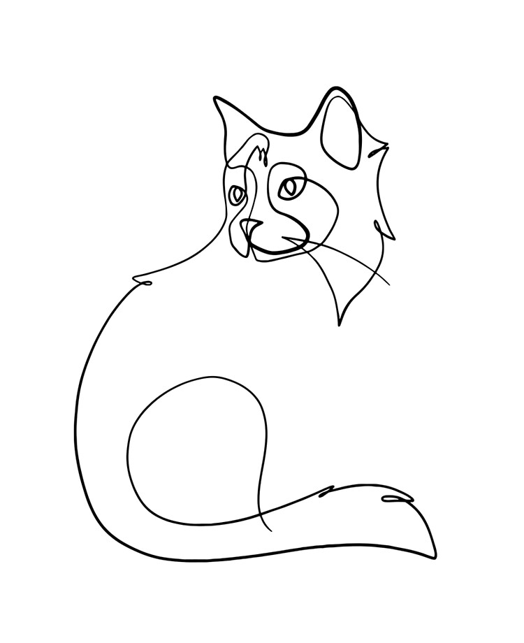 Cat Line Drawing