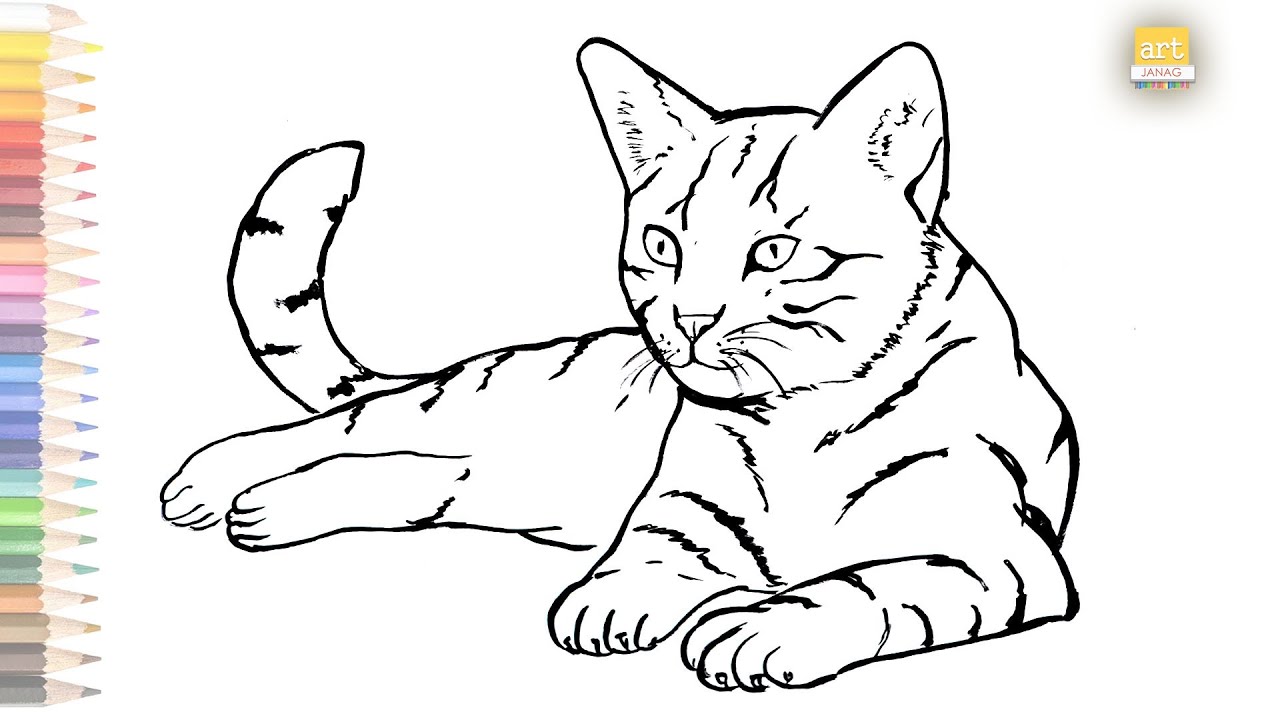 Cat Outline Drawing Art