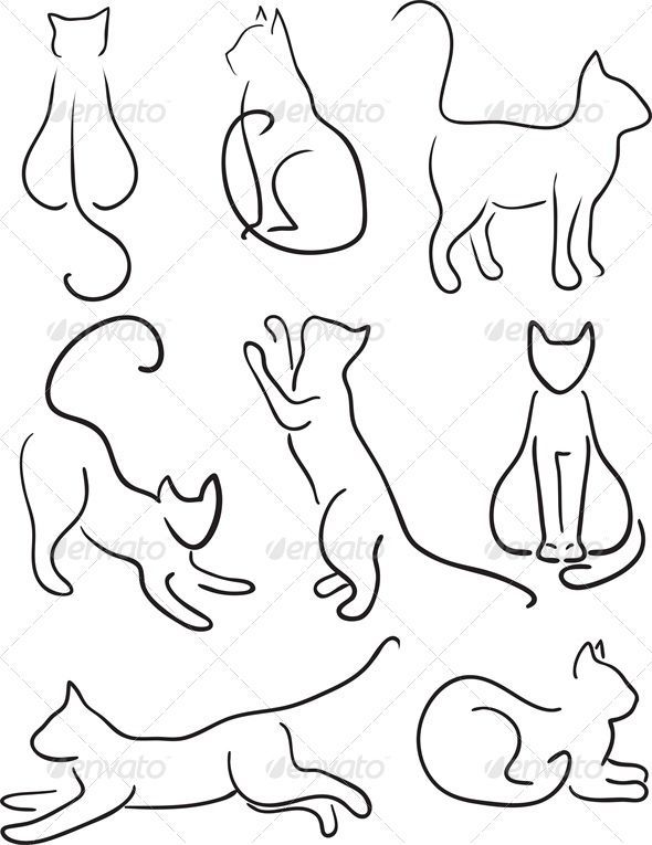 Cat Outline Drawing Beautiful Image