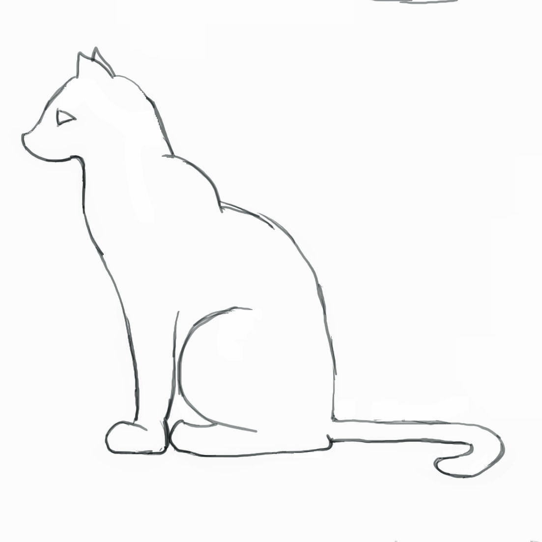 Cat Outline Drawing Photo