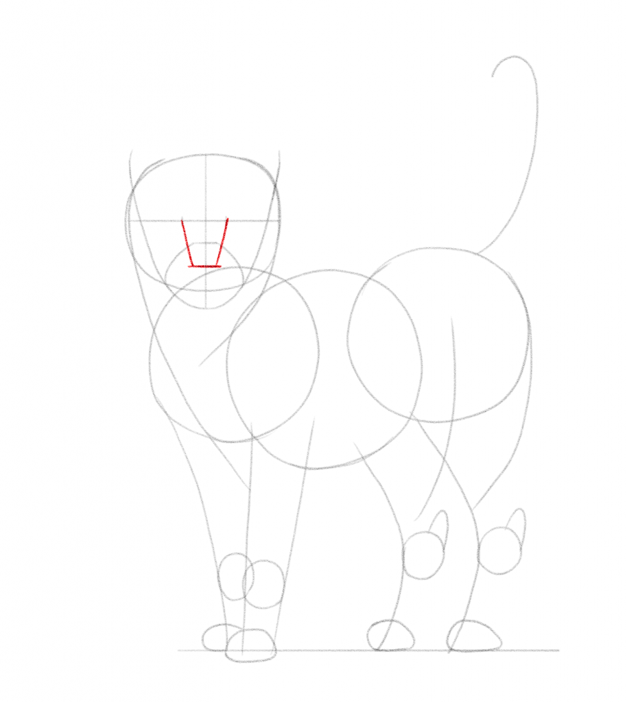 Cat Outline Drawing Picture