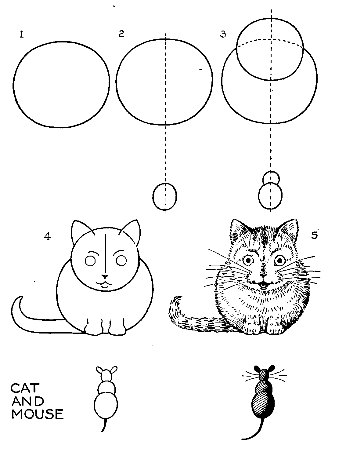 Cat Simple Drawing Images