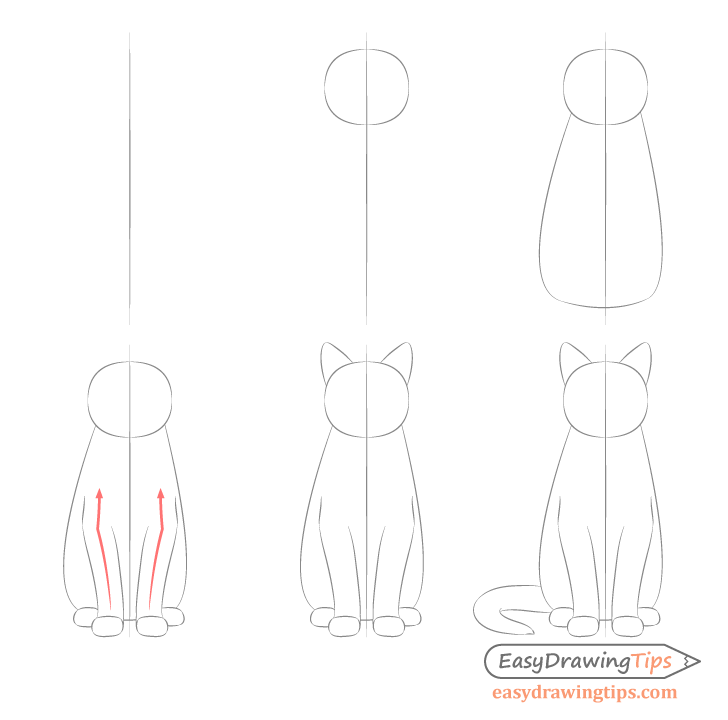 Cat Simple Drawing Photo
